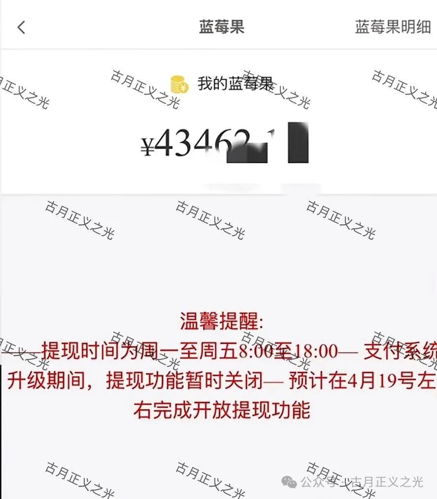骗局【蓝莓甄选】抢单寄售类资金盘,“艾兴合”同模式,已经不能提现,崩盘软跑路了…