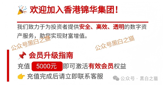 “锦华传媒”借用流量噱头起盘,实则换汤不换药还是涉诈项目...... “锦华传媒”借用流量噱头起盘,实则换汤不换药还是涉诈项目......