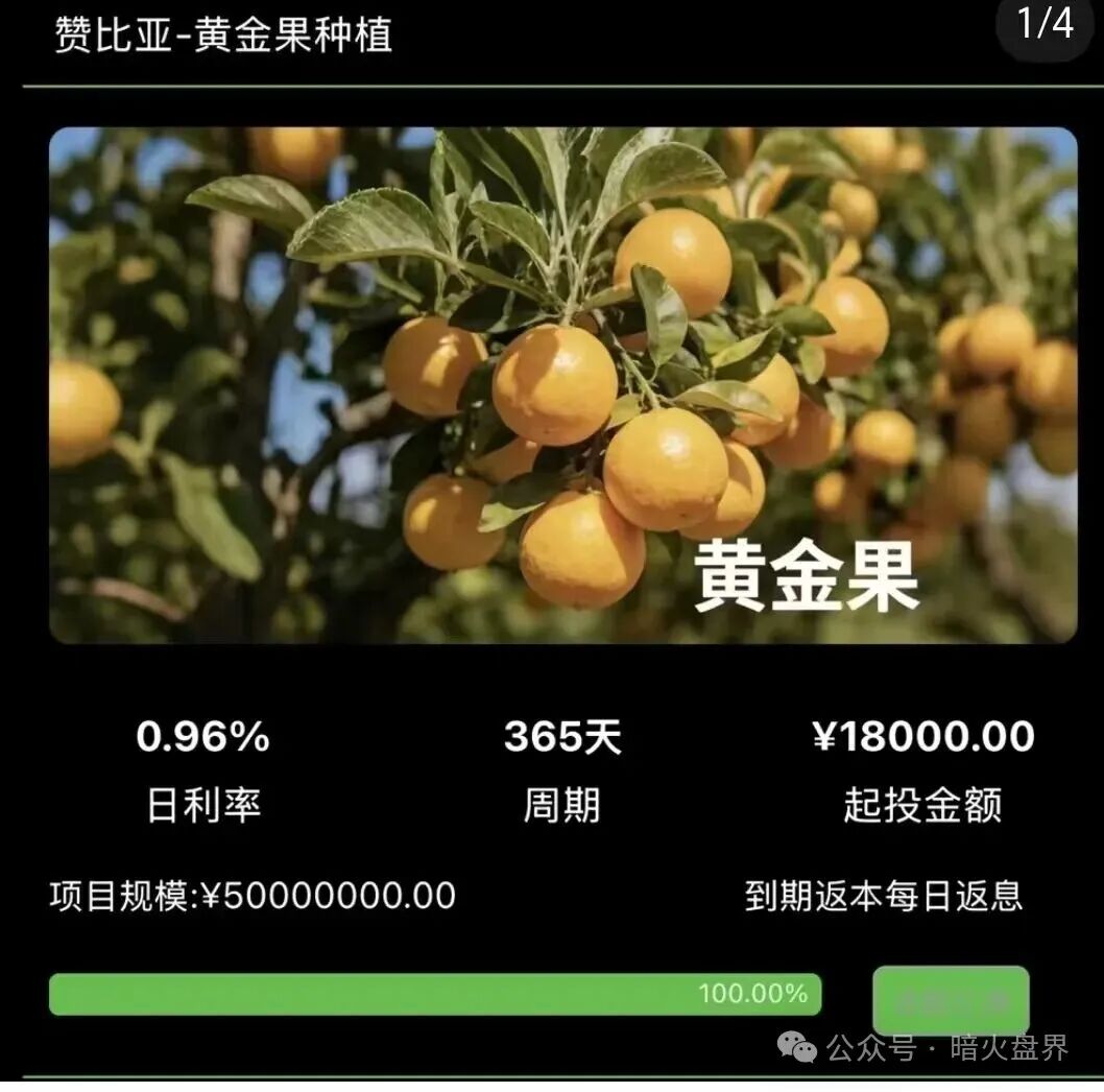 “华洋绿投”海外种果树资金盘骗局，专坑想赚快钱的普通人，随时崩盘跑路！