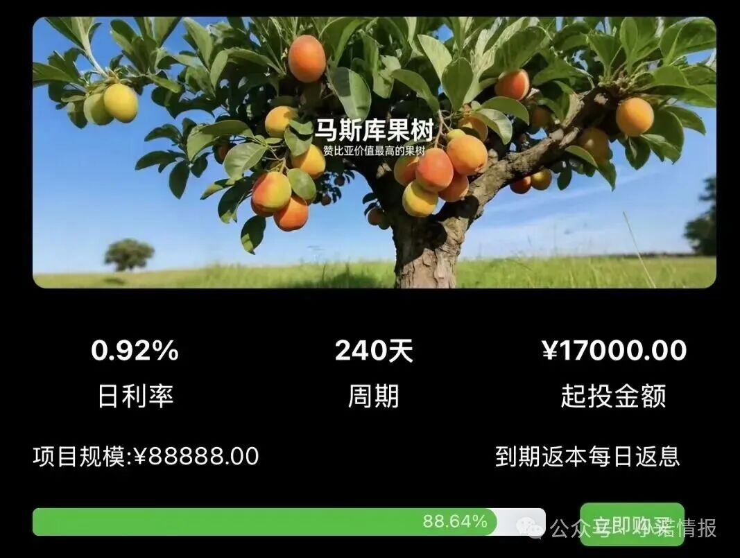警惕！“华洋绿投”海外种果树，专骗想赚快钱的普通人！ 赤裸裸资金盘骗局！