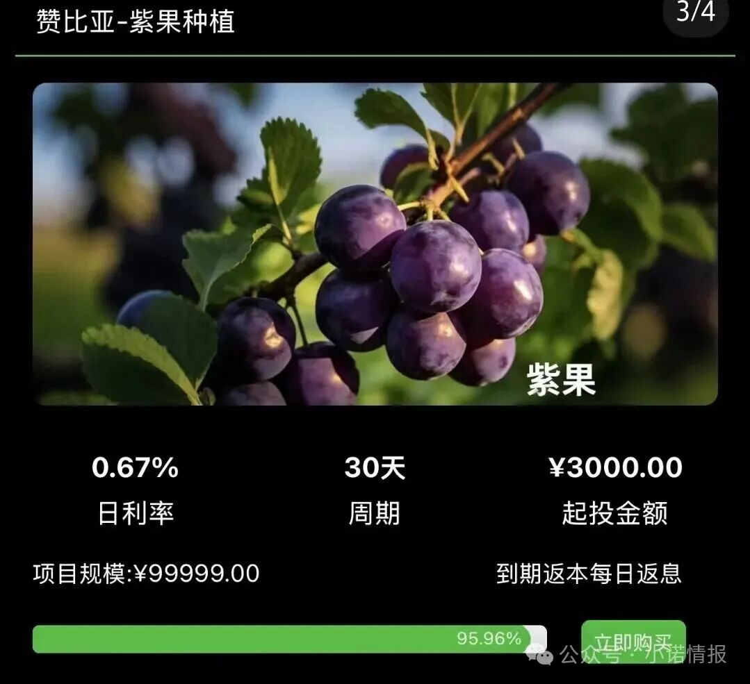 警惕！“华洋绿投”海外种果树，专骗想赚快钱的普通人！ 赤裸裸资金盘骗局！