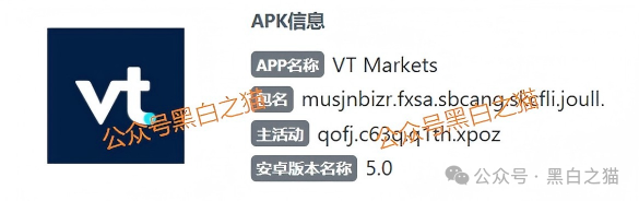 外汇盘|境外“Vt Markets”遭仿冒,国内吸金不止,杀猪盘骗局又起...... 外汇盘|境外“Vt Markets”遭仿冒,国内吸金不止,杀猪盘骗局又起......