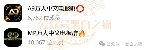 “MP蒙哥马利”人马转移“A9”项目,换成链上赌盘,投资人逃不过被割结局.....