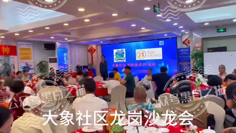 【YESORNO+大象社区】项目背景虚造,涉及私设赌场罪,团队长好自为之...... 【YESORNO+大象社区】项目背景虚造,涉及私设赌场罪,团队长好自为之......