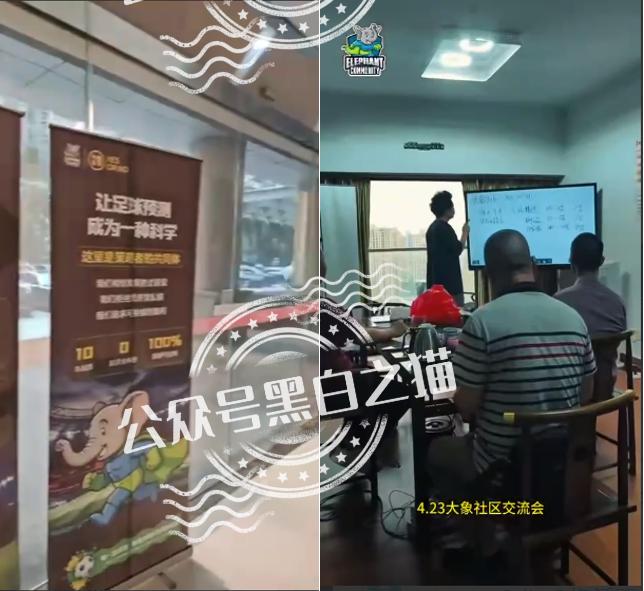 【YESORNO+大象社区】项目背景虚造,涉及私设赌场罪,团队长好自为之...... 【YESORNO+大象社区】项目背景虚造,涉及私设赌场罪,团队长好自为之......
