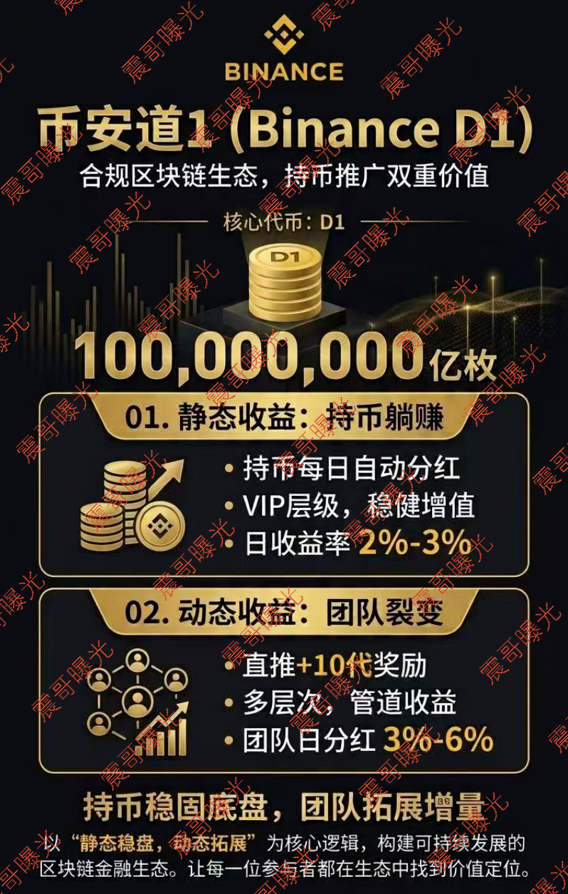 【币安道1】资金盘骗局,日收益2%,PPT都做不明白,你信它能长久?