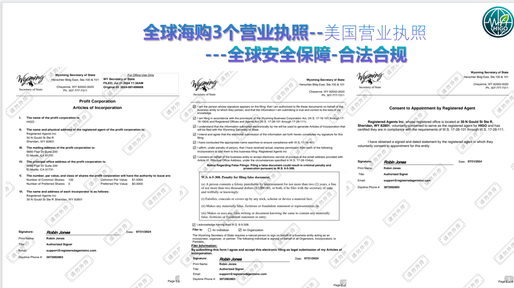 “海购国际”美国相关执照全部为网购，研发团队信息造假，该项目最终收益者