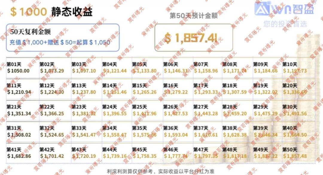 【智盈国际】资金盘骗局,华尔街AI量化是假的,多级传销圈钱是真的!