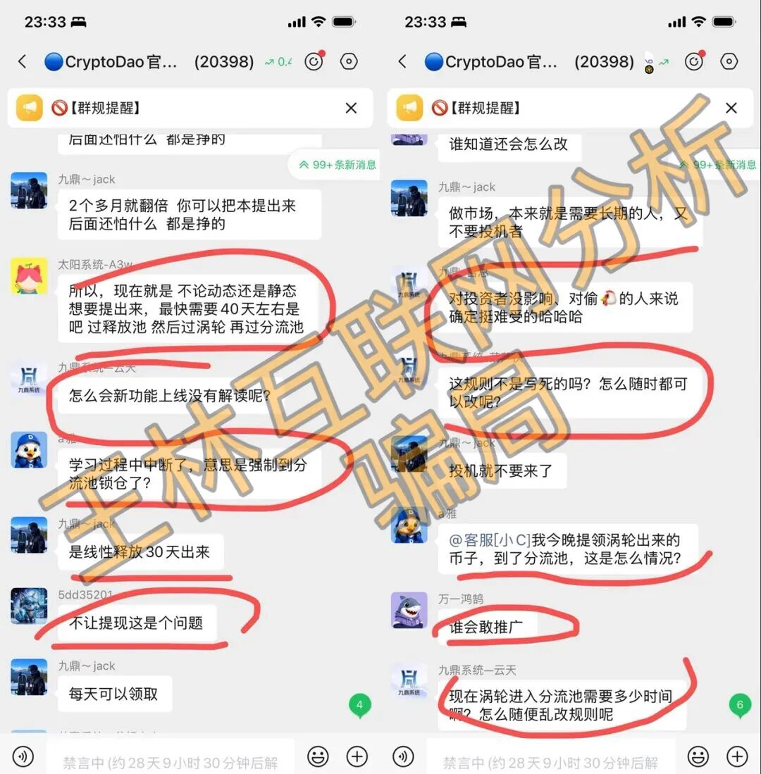 【CDAO，金鼎集团（和平娱乐）】这3个项目都是骗局，马上收割跑路，赶紧远离！