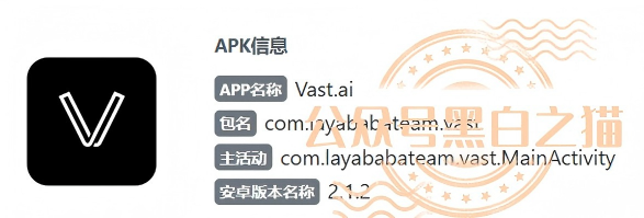 “VAST.AI”资金盘升级，盘哥在老挝边境打野，刺激团队长拉新扩展队伍