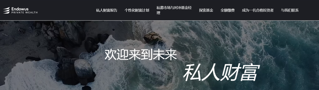 揭秘伪冒的智安投（Endowus）资金盘，撕开伪装现原形，请投资人注意高风险。