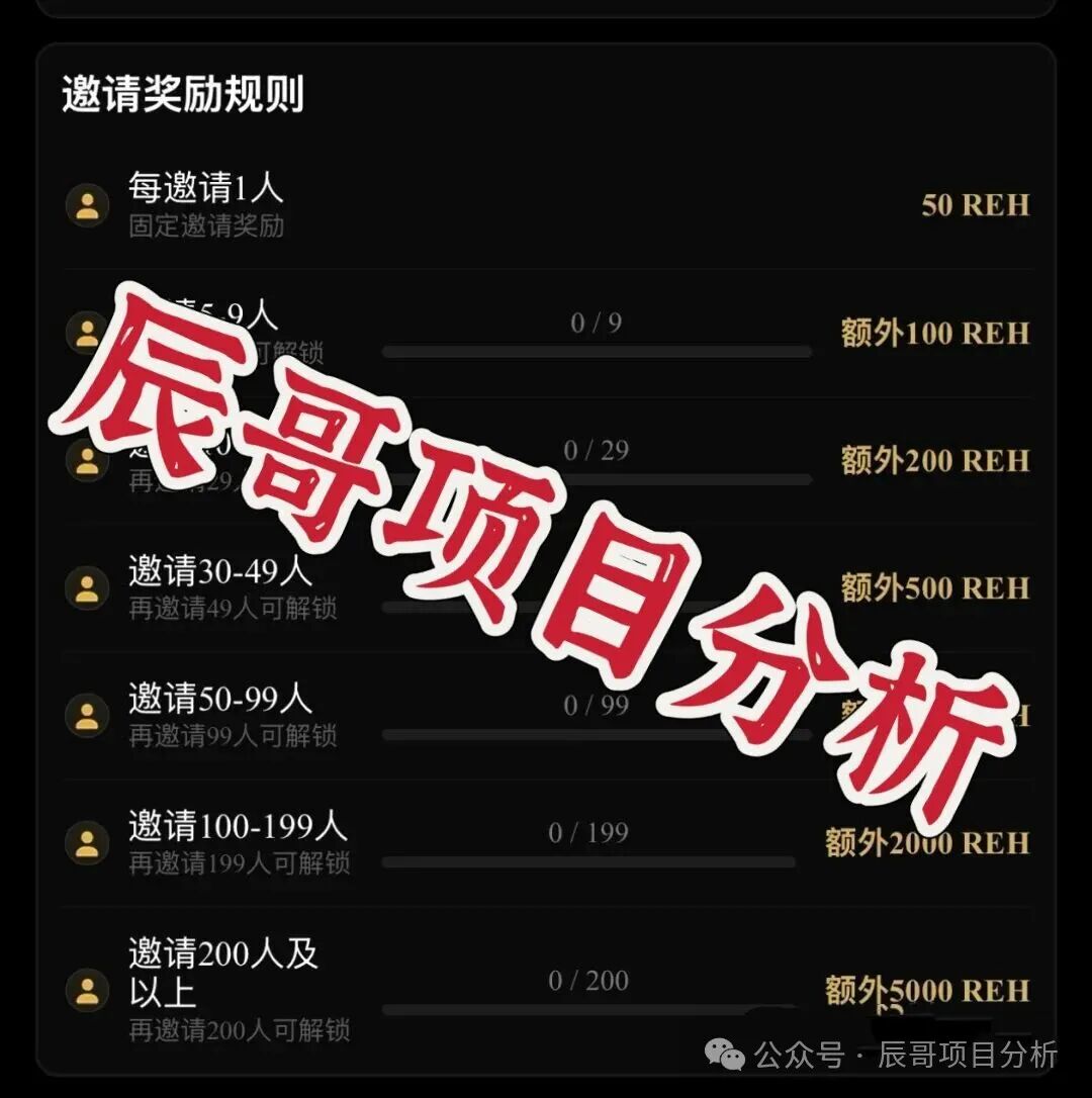 RWA生态Hub(REH)纯拉人头资金盘,高度预警,远离! RWA生态Hub(REH)纯拉人头资金盘,高度预警,远离!