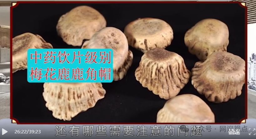 警惕《名医讲堂》伪养生栏目!披着科普外衣,专门收割中老年人 警惕《名医讲堂》伪养生栏目!披着科普外衣,专门收割中老年人