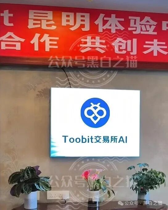 伪冒 “Toobit”(图比特)骗局洗地严重,域名多样化续命,离崩盘有多远? 伪冒 “Toobit”(图比特)骗局洗地严重,域名多样化续命,离崩盘有多远?